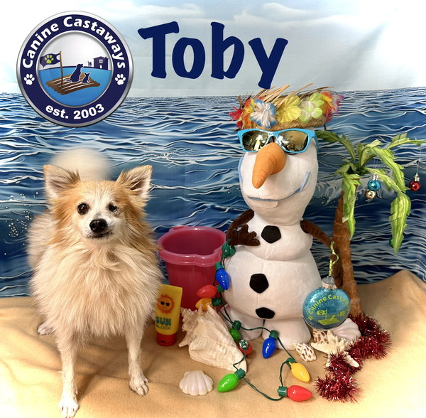 Toby