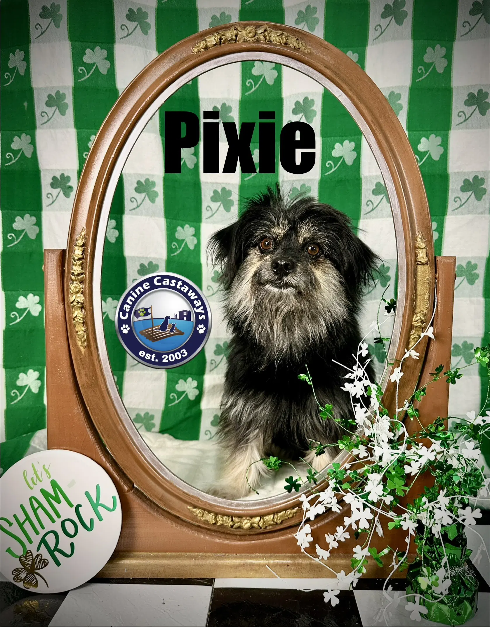 Pixie image 3