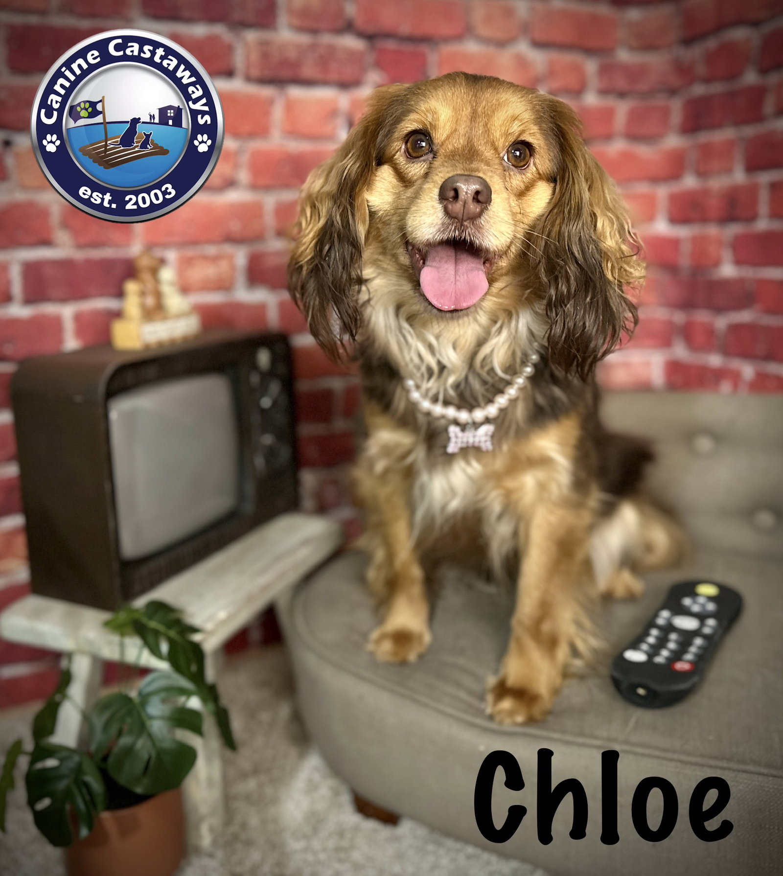 Chloe