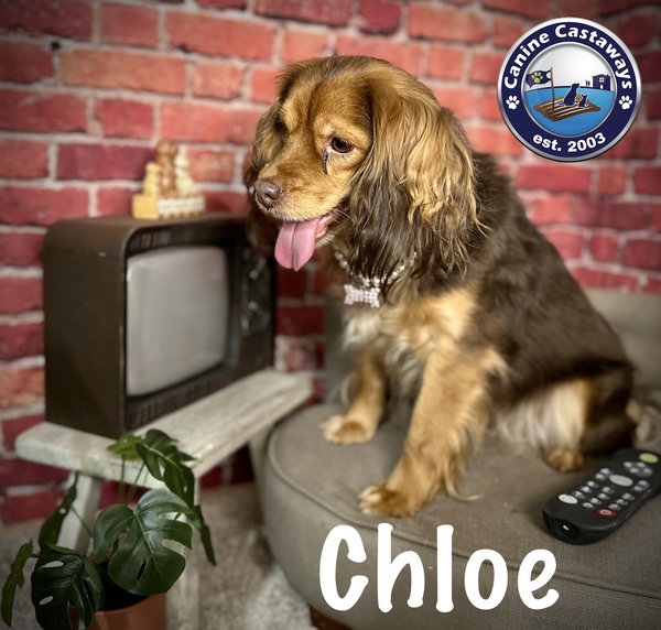 Chloe