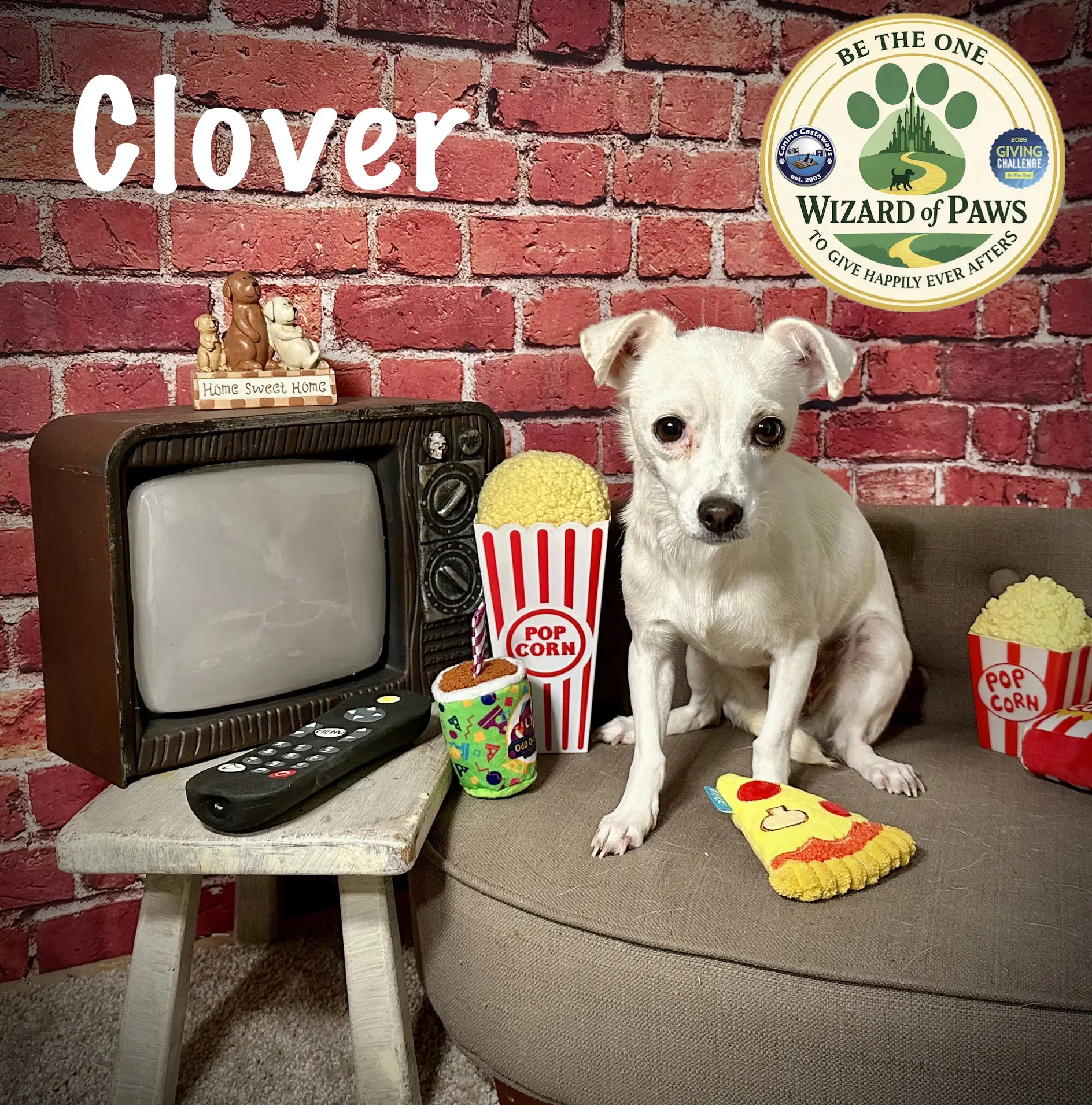 Clover image 4