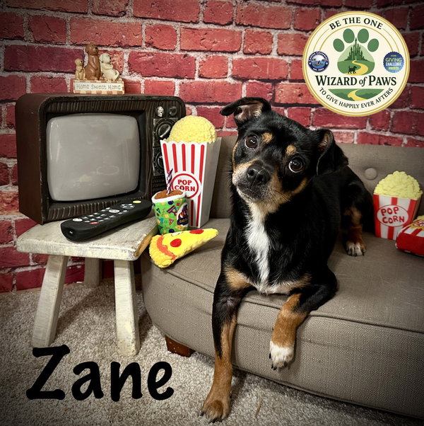 Zane