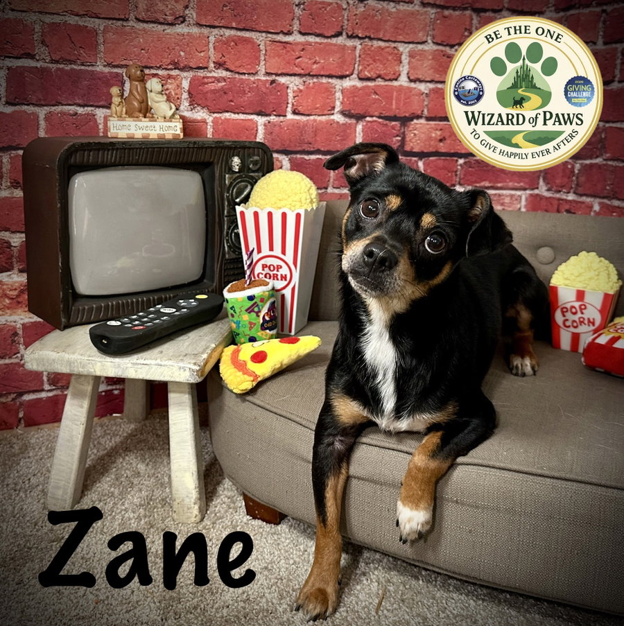 Zane