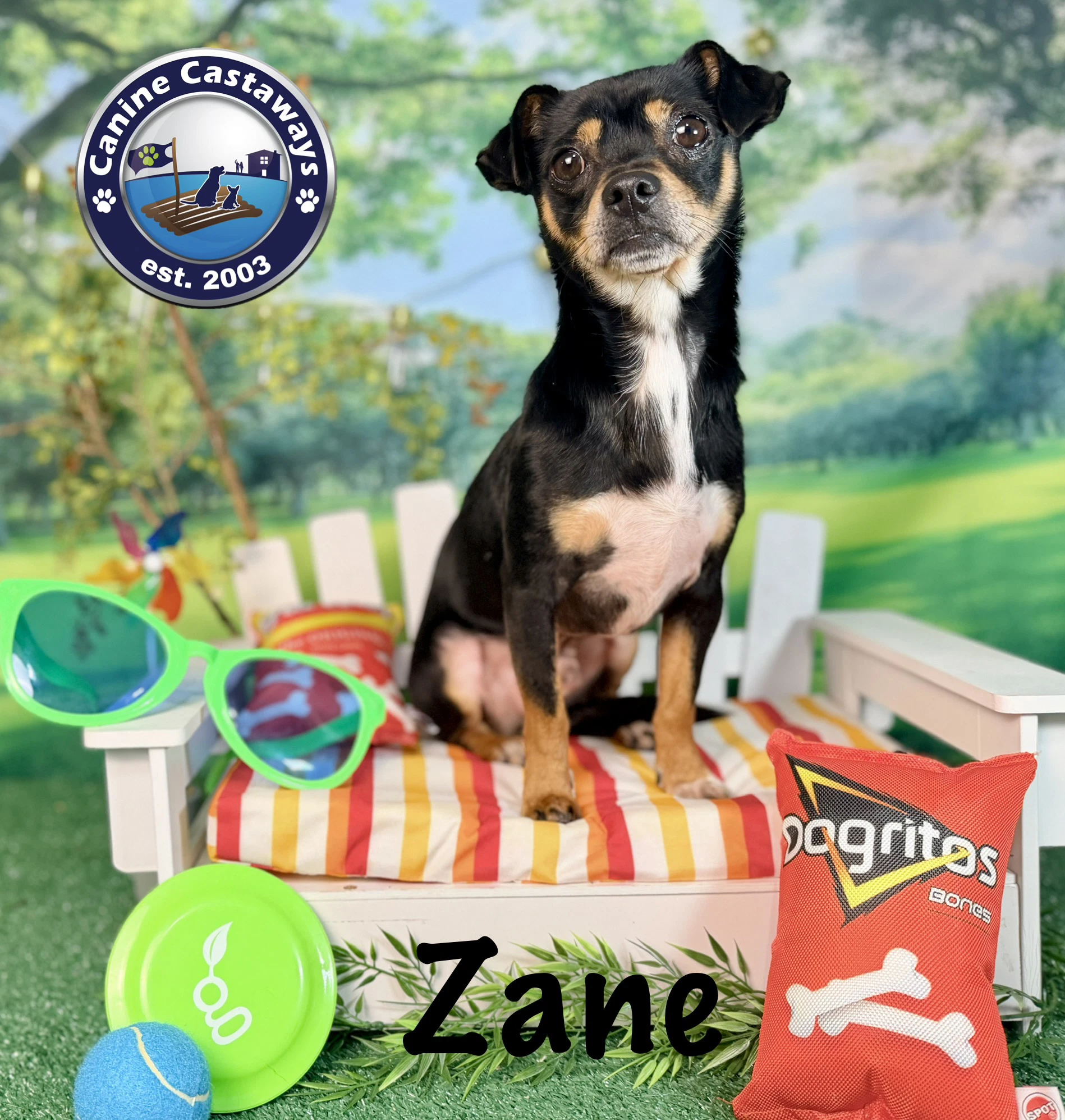 Zane