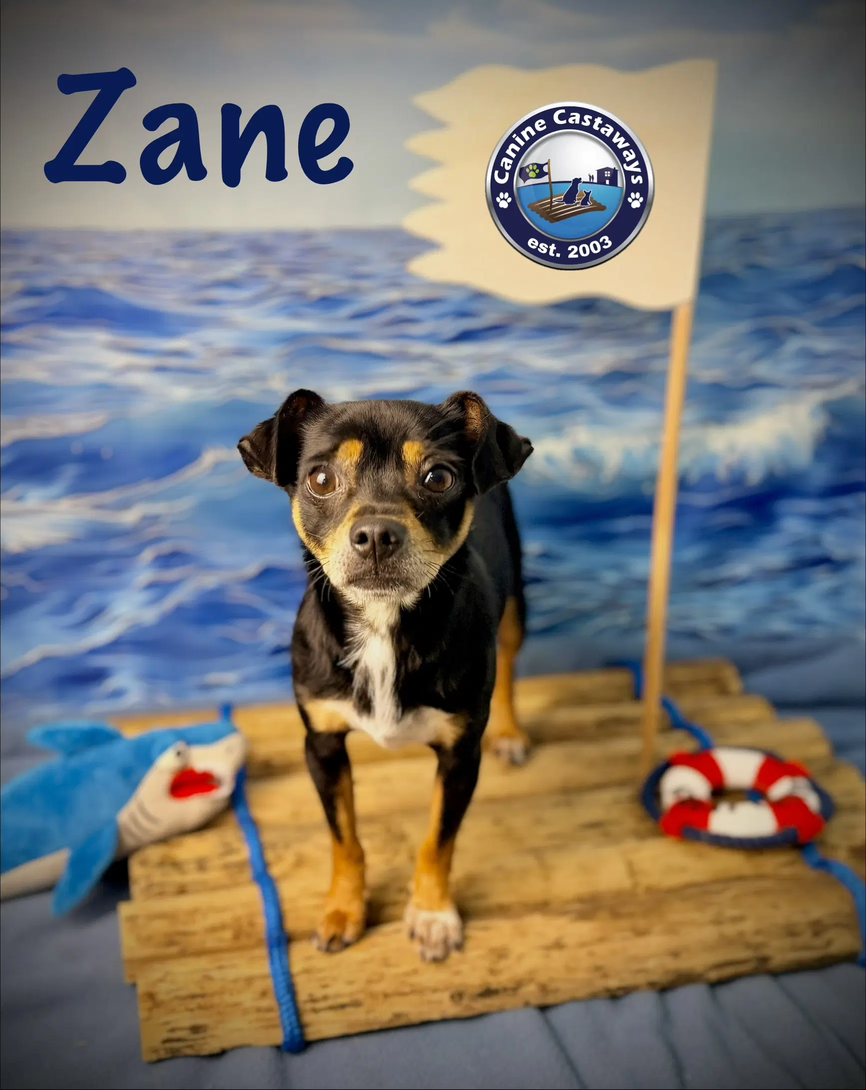 Zane image 4