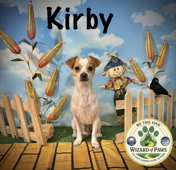 Kirby