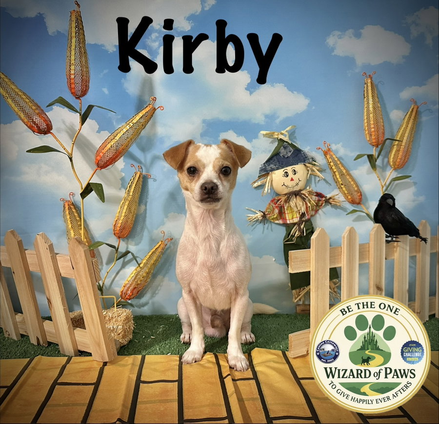 Kirby