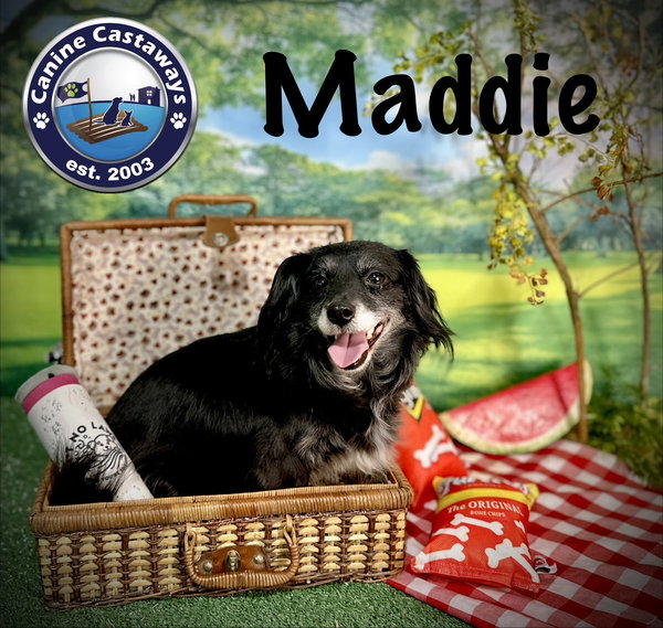 Maddie