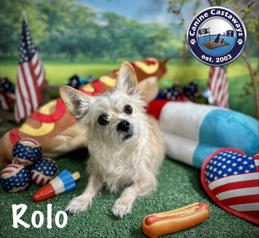 Rolo