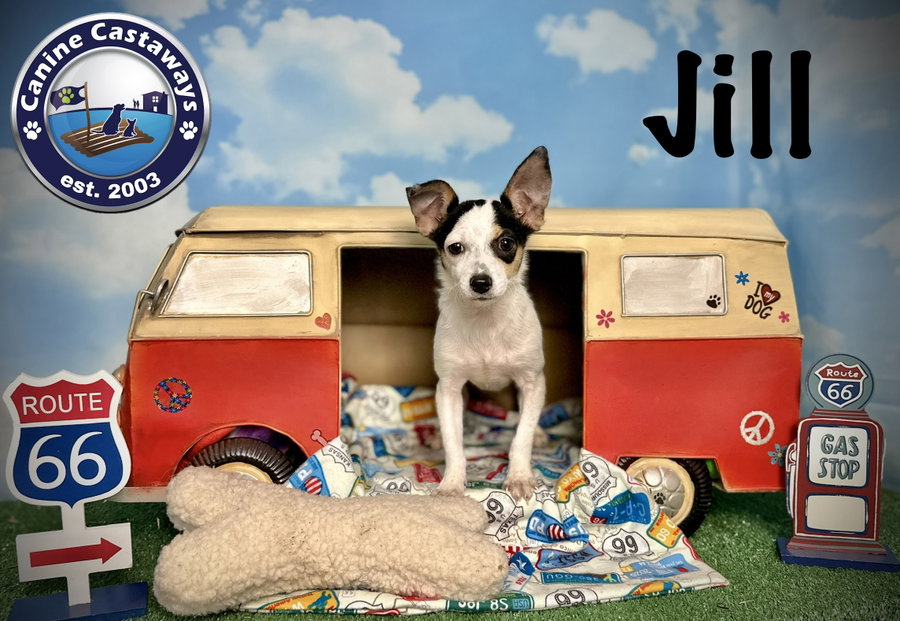 Jill