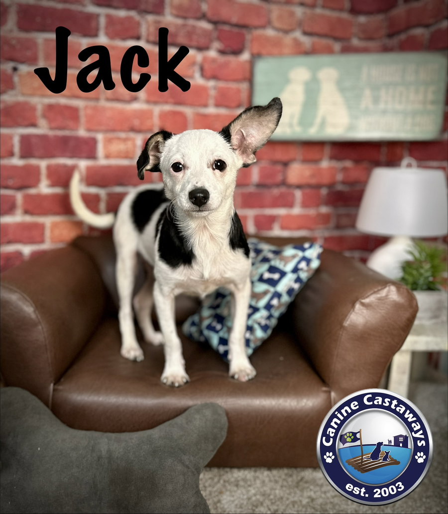 Jack