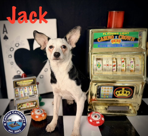 Jack