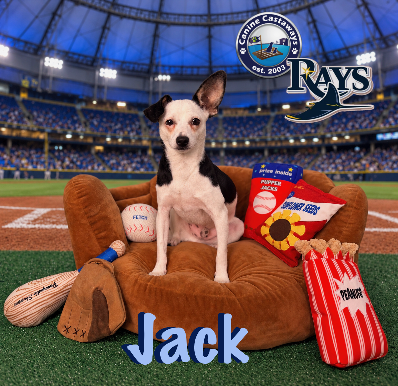 Jack, photo 2