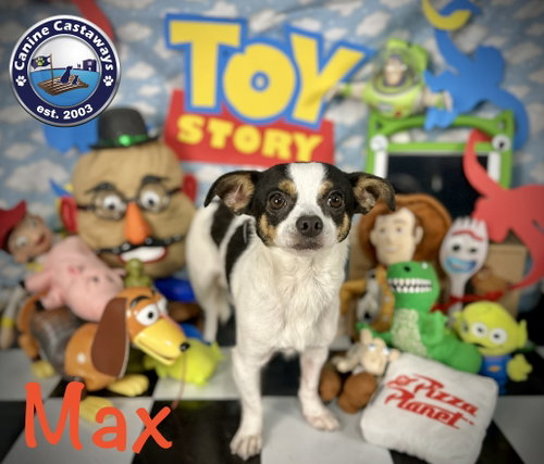 Max photo 3