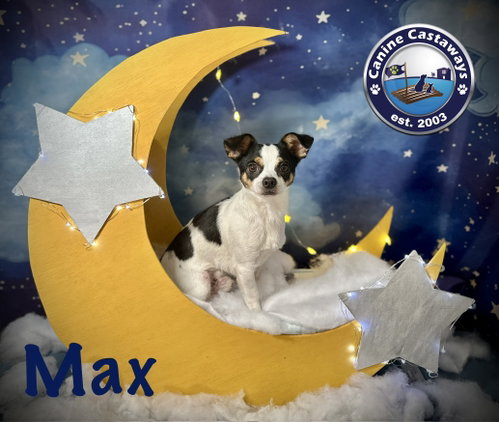 Max photo 4