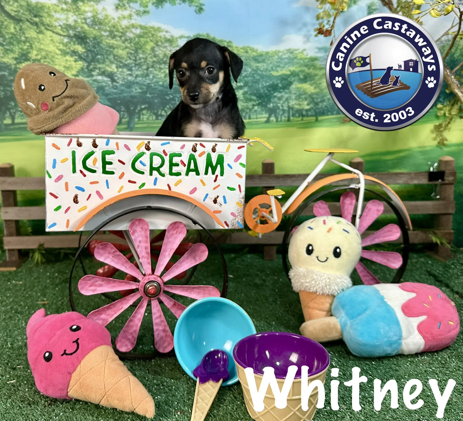 Whitney image 2
