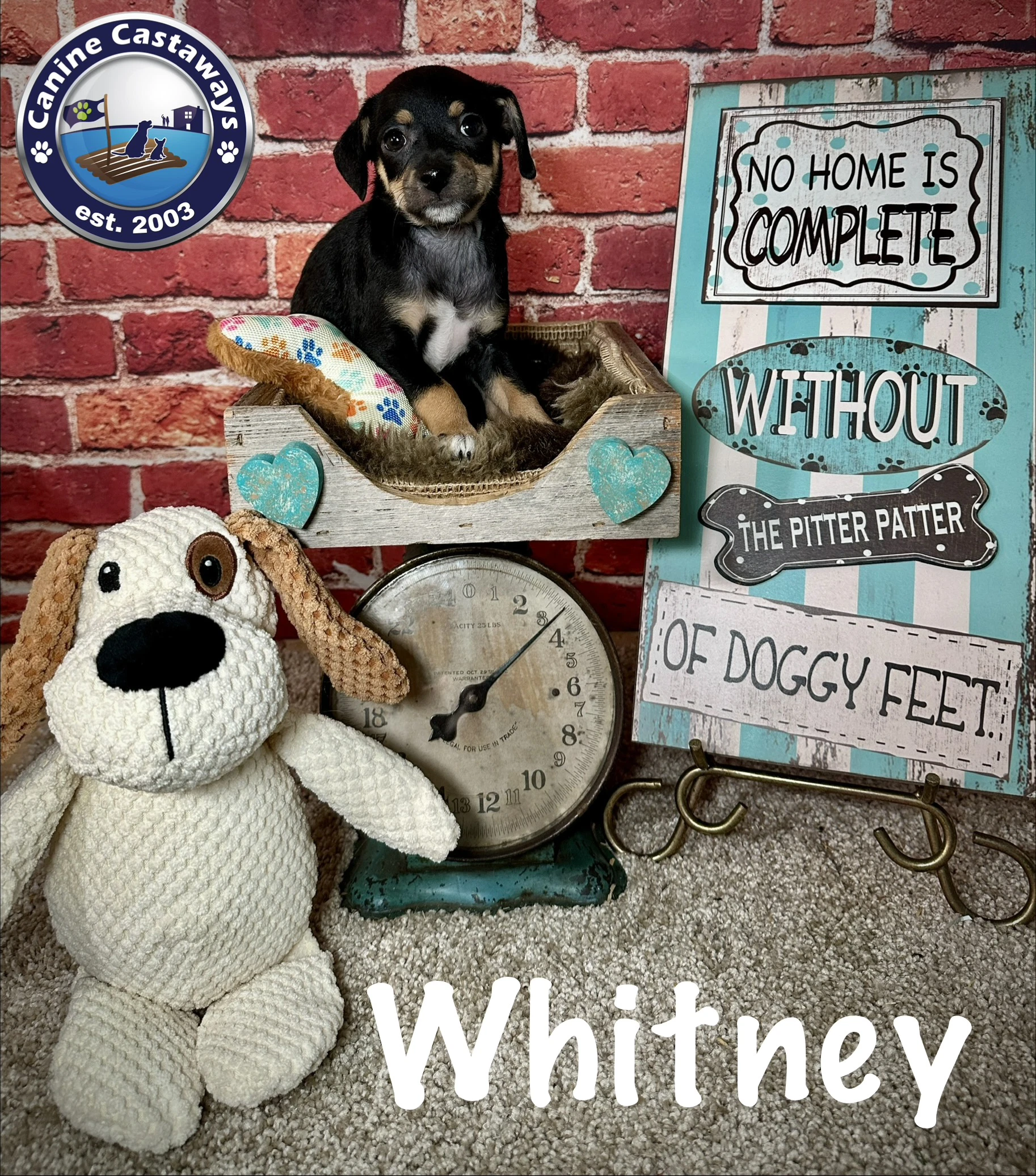 Whitney