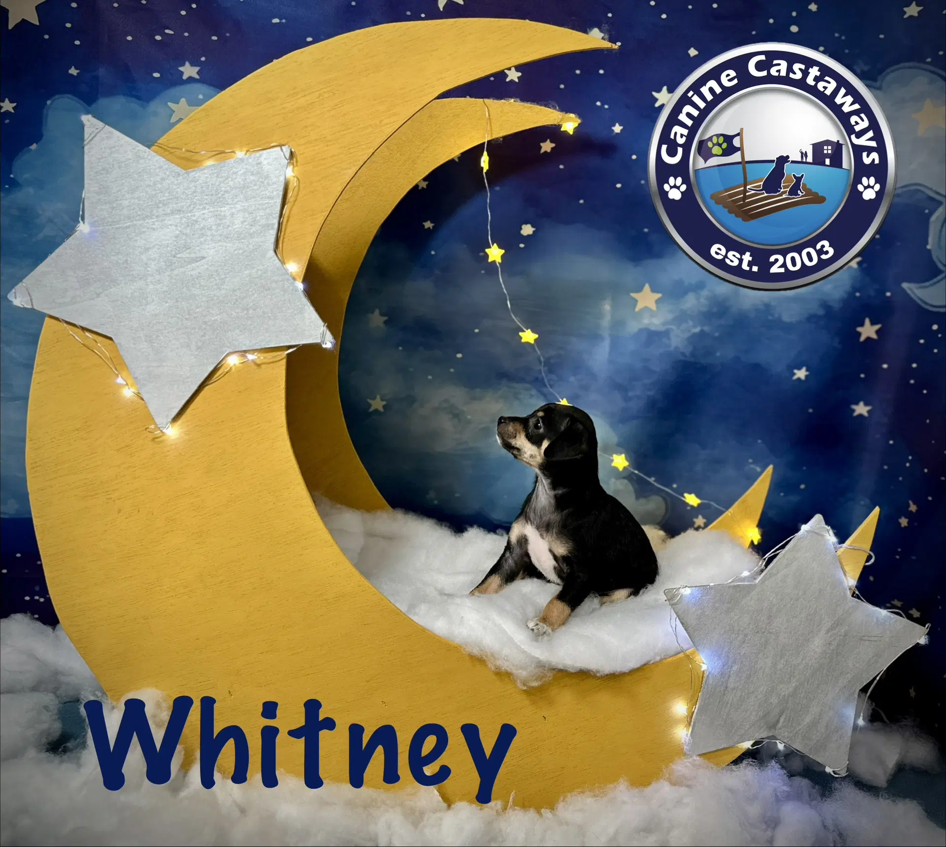 Whitney image 3