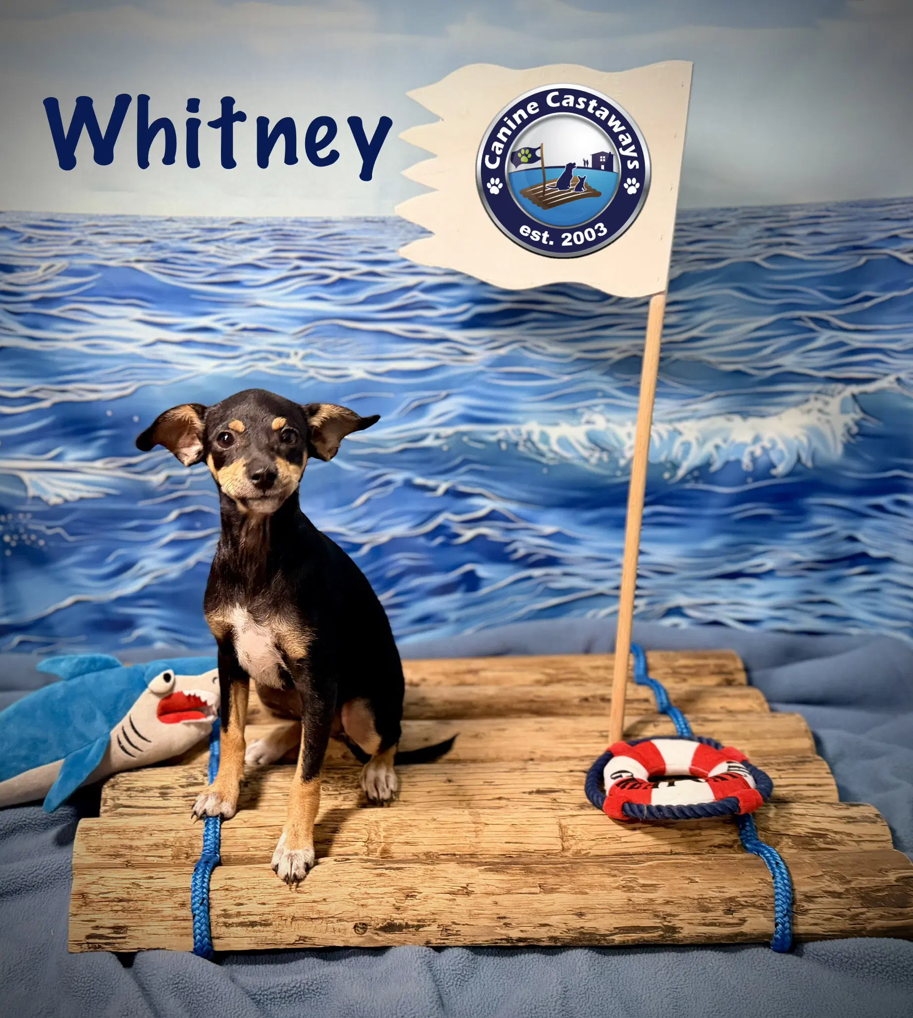 Whitney image 3