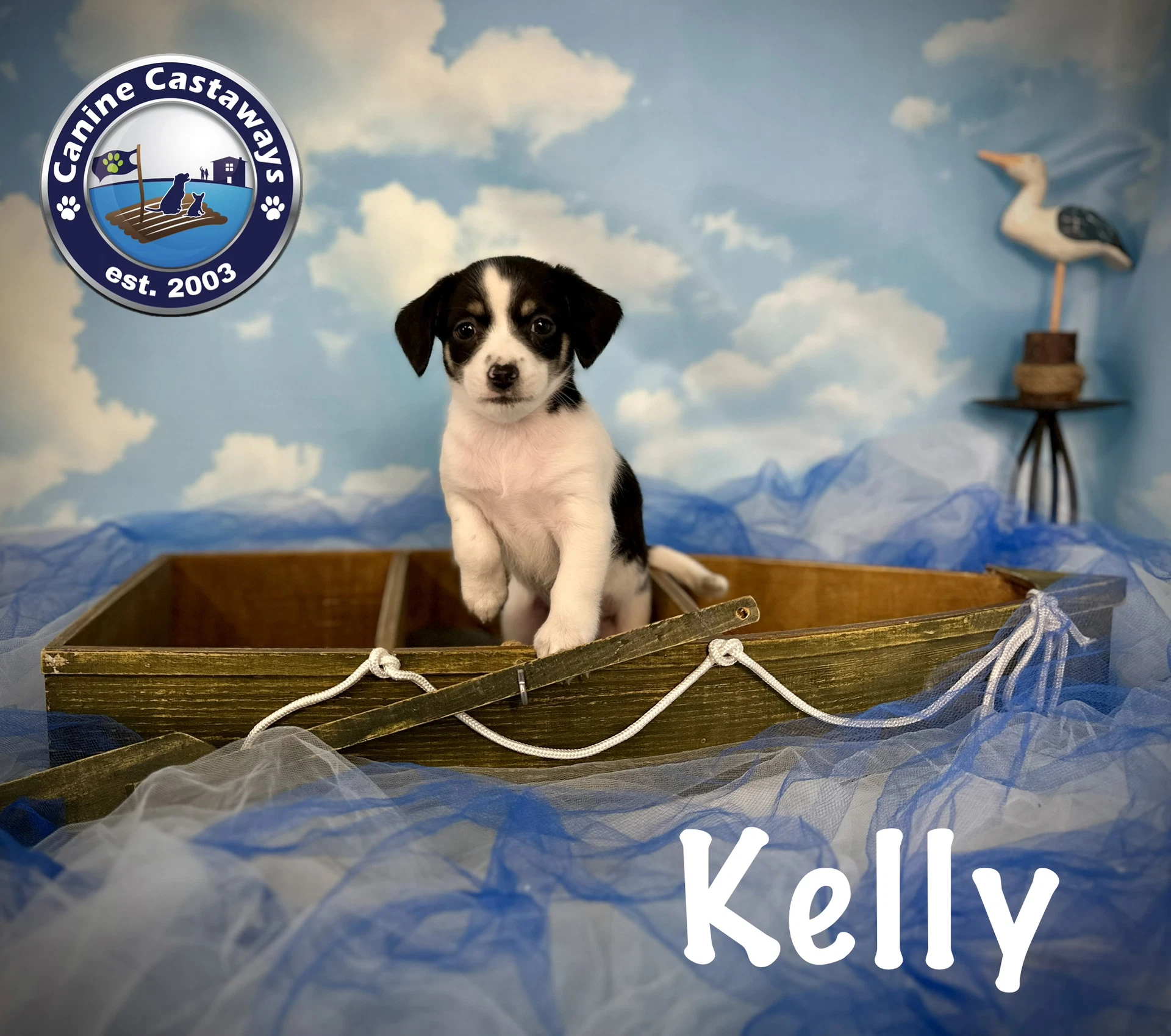 Kelly