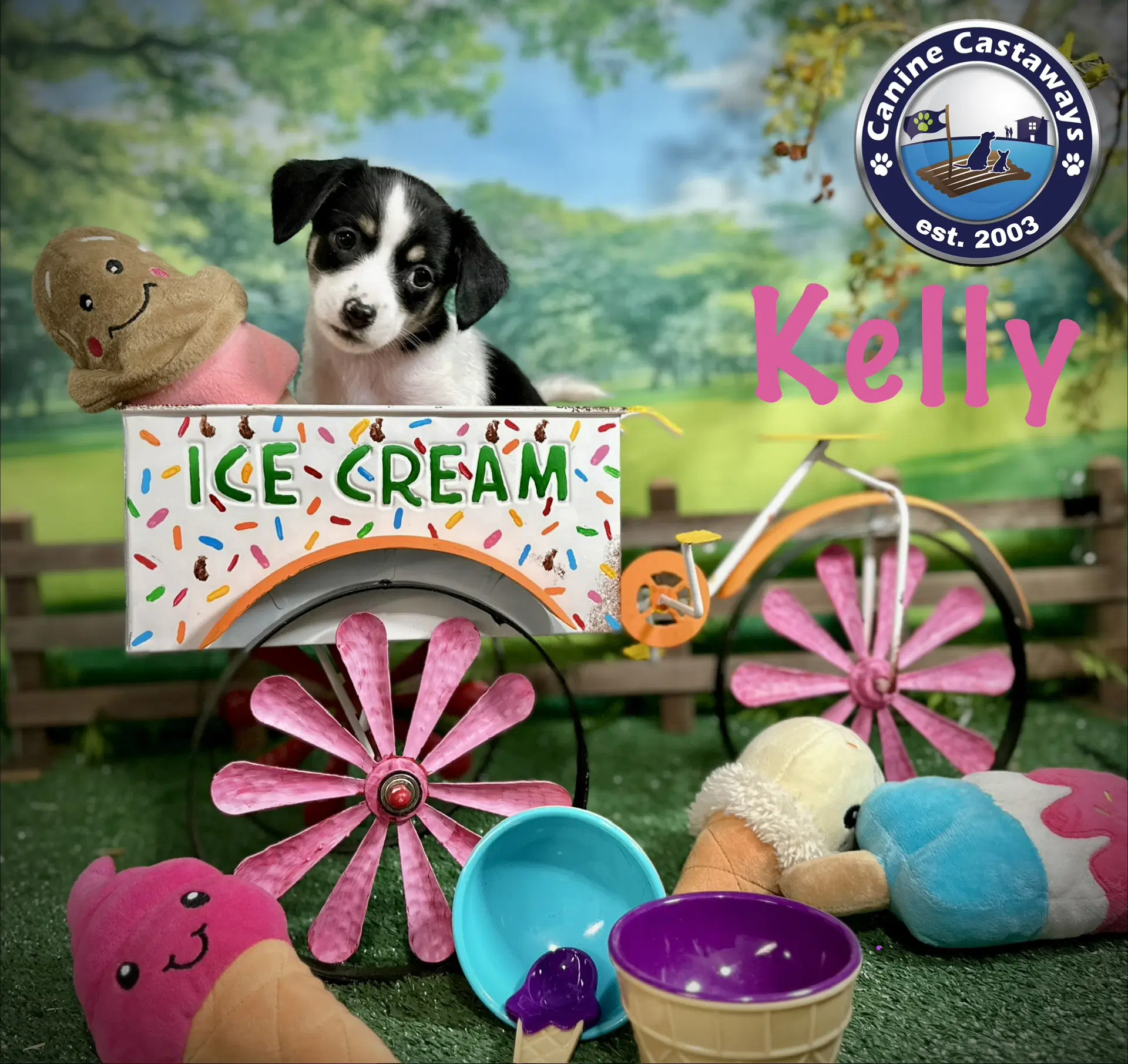 Kelly image 2