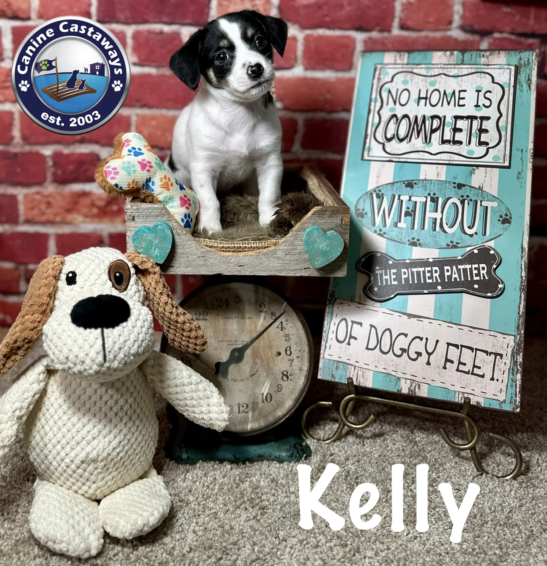 Kelly image 3