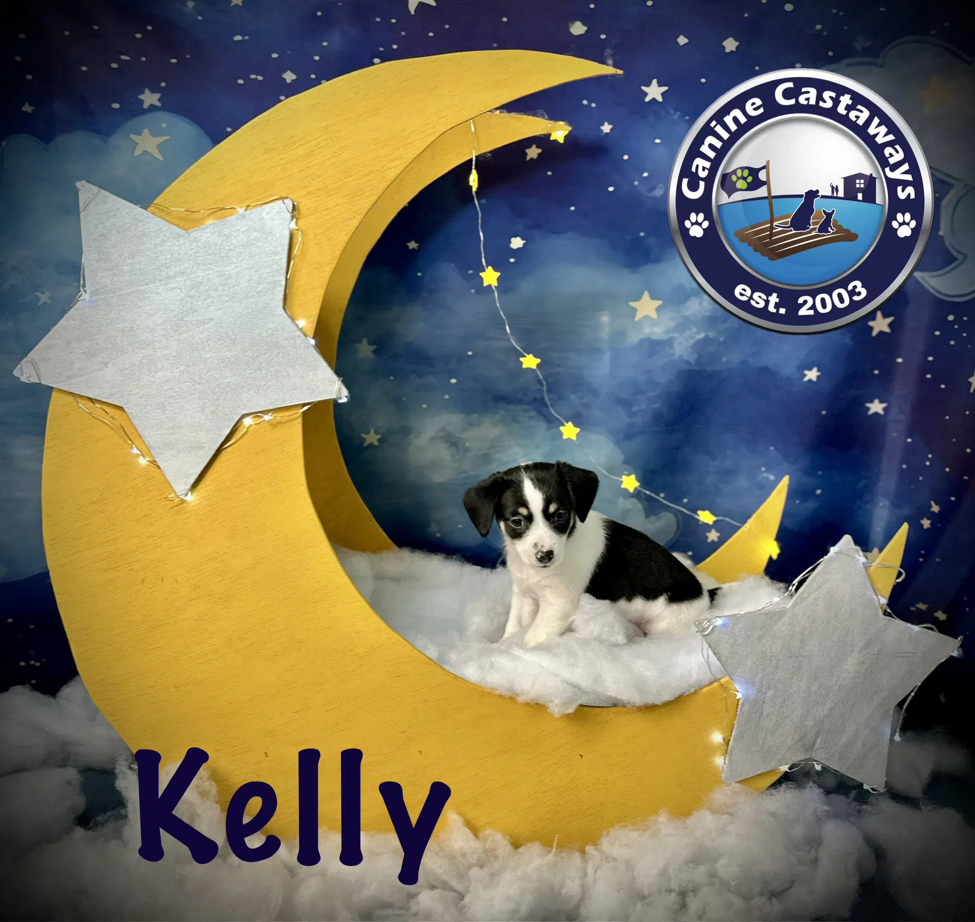 Kelly image 4
