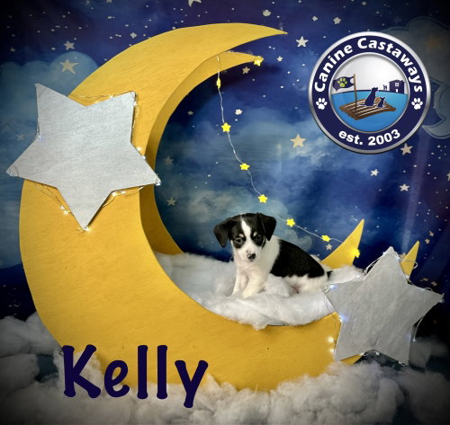 Kelly photo 4
