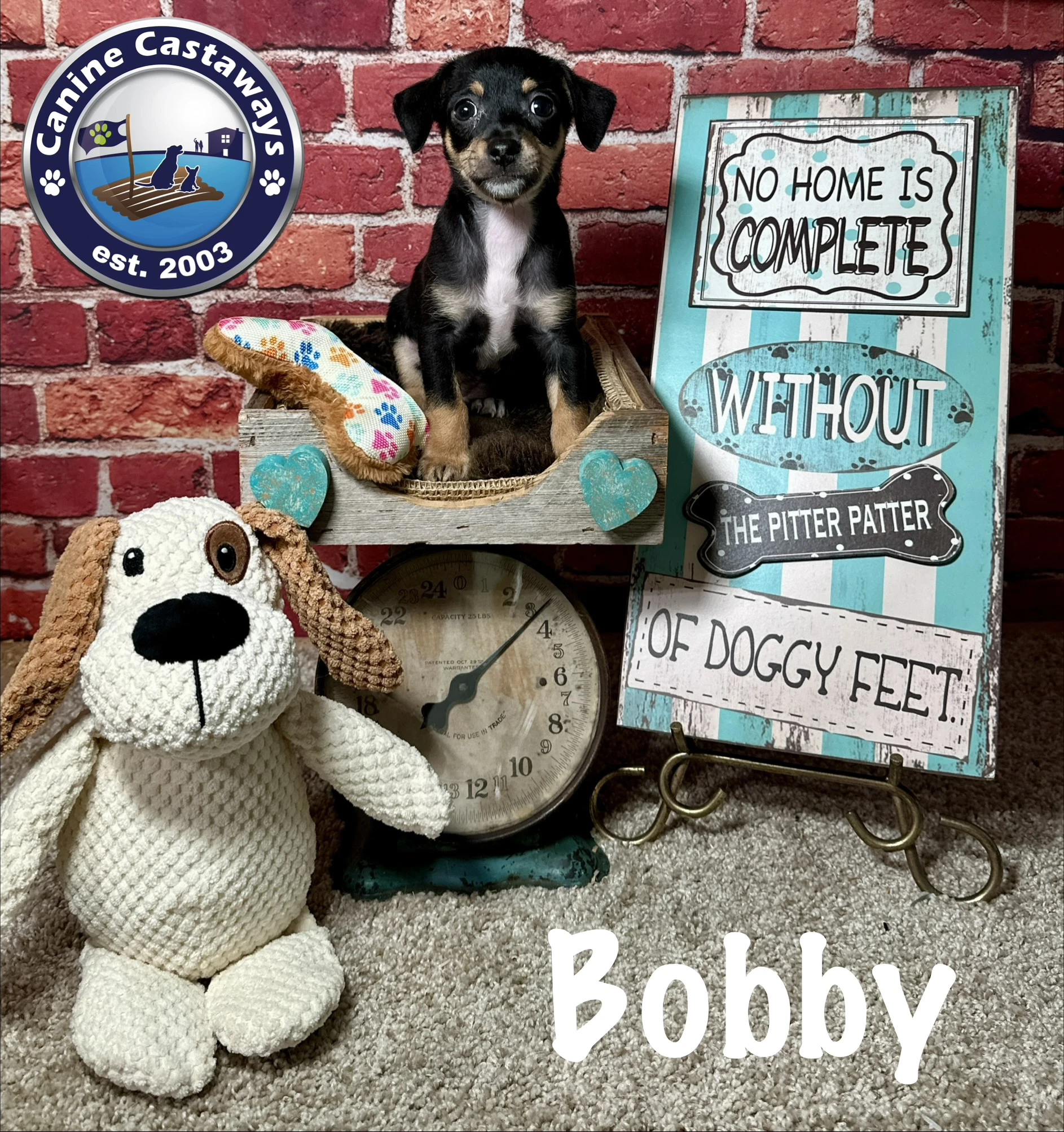 Bobby