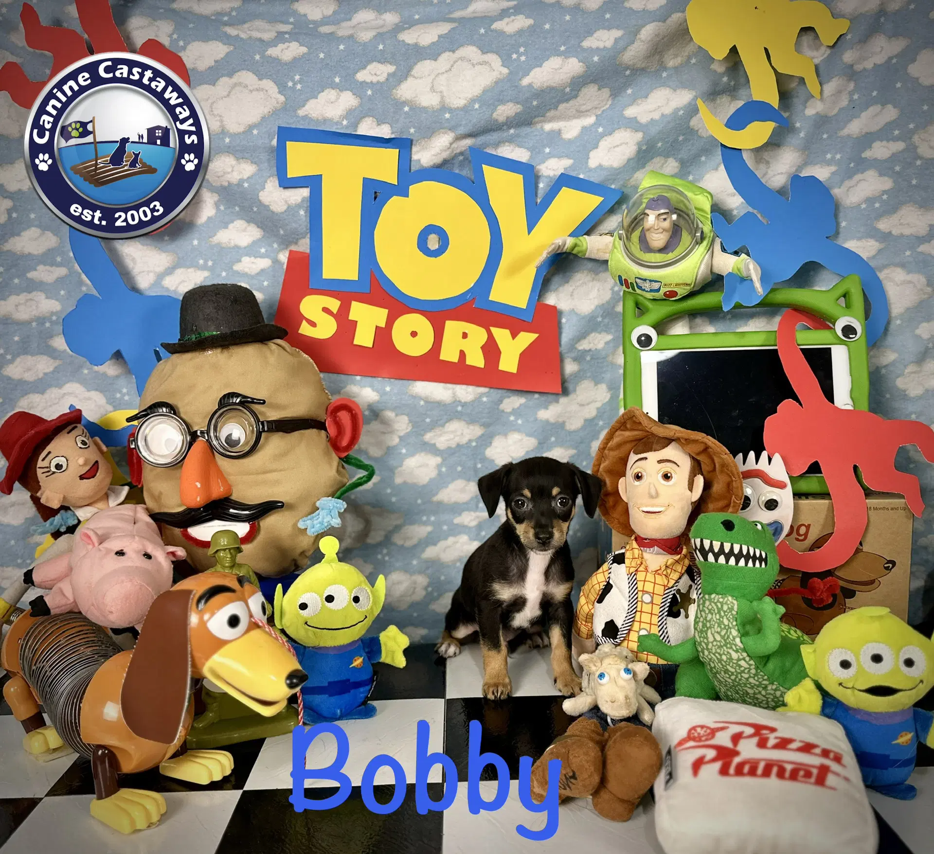 Bobby image 2
