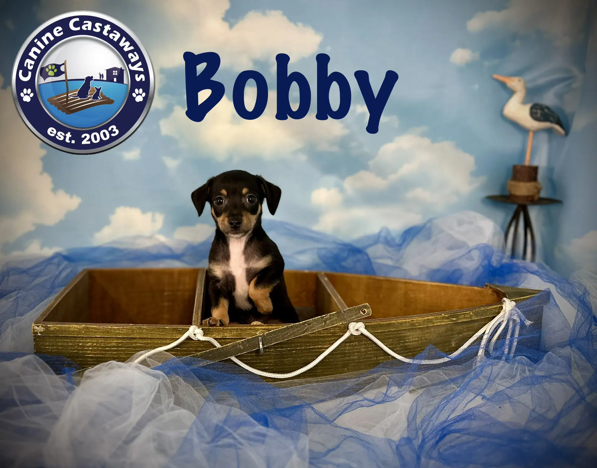 Bobby image 3