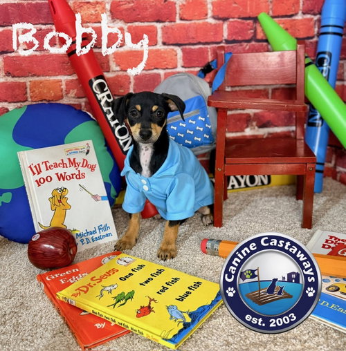 Photo 2 of Bobby