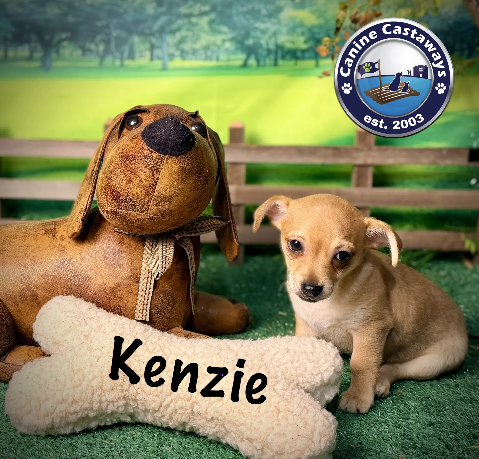 Kenzie image 4