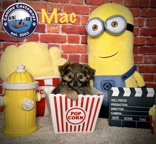 Mac