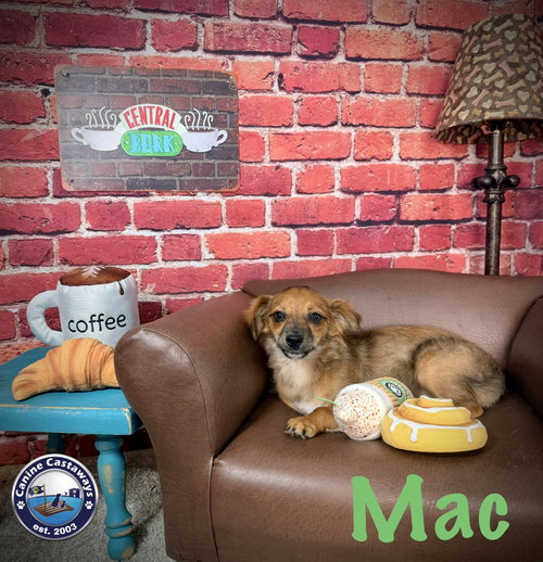 Photo 4 of Mac