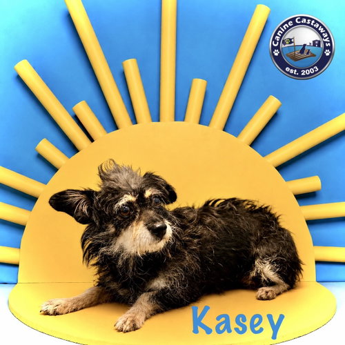 Photo 2 of Kasey