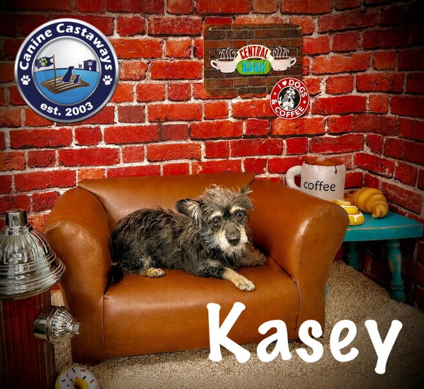 Kasey