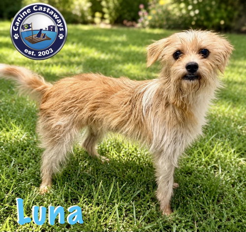 Photo 2 of Luna