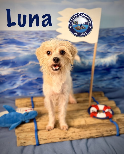 Photo 3 of Luna