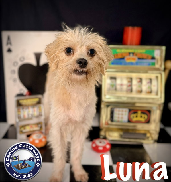 Luna