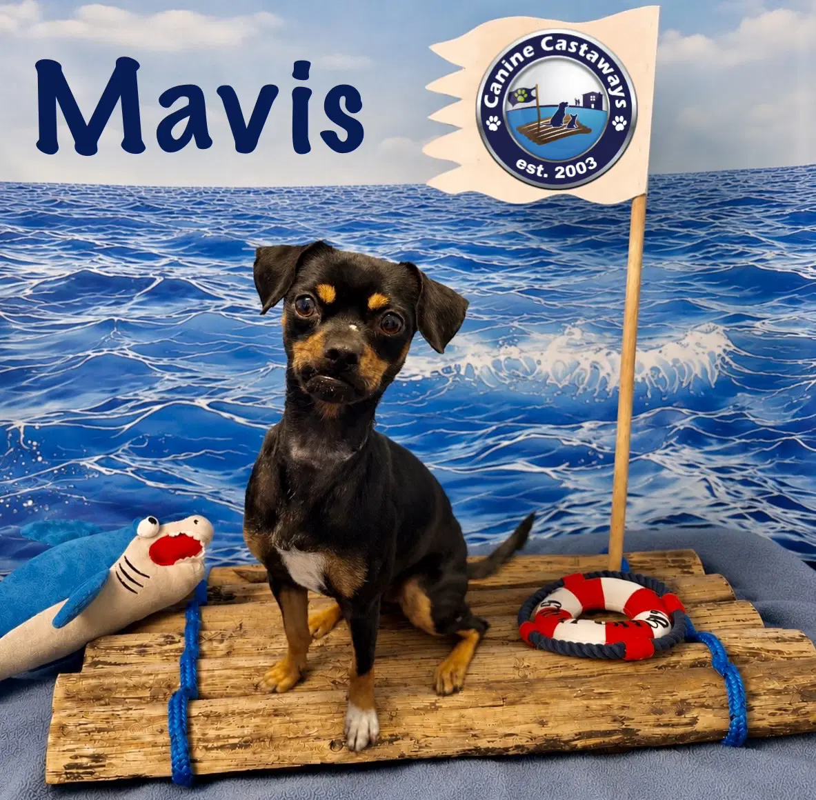 Mavis image 2