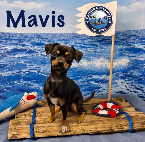 Photo 2 of Mavis