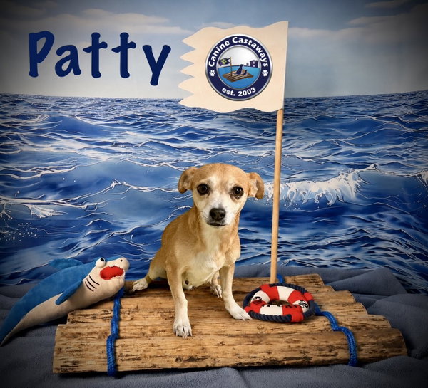 Patty