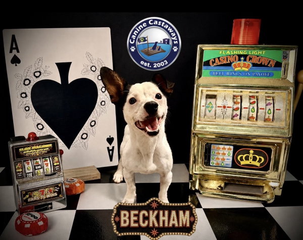 Beckham