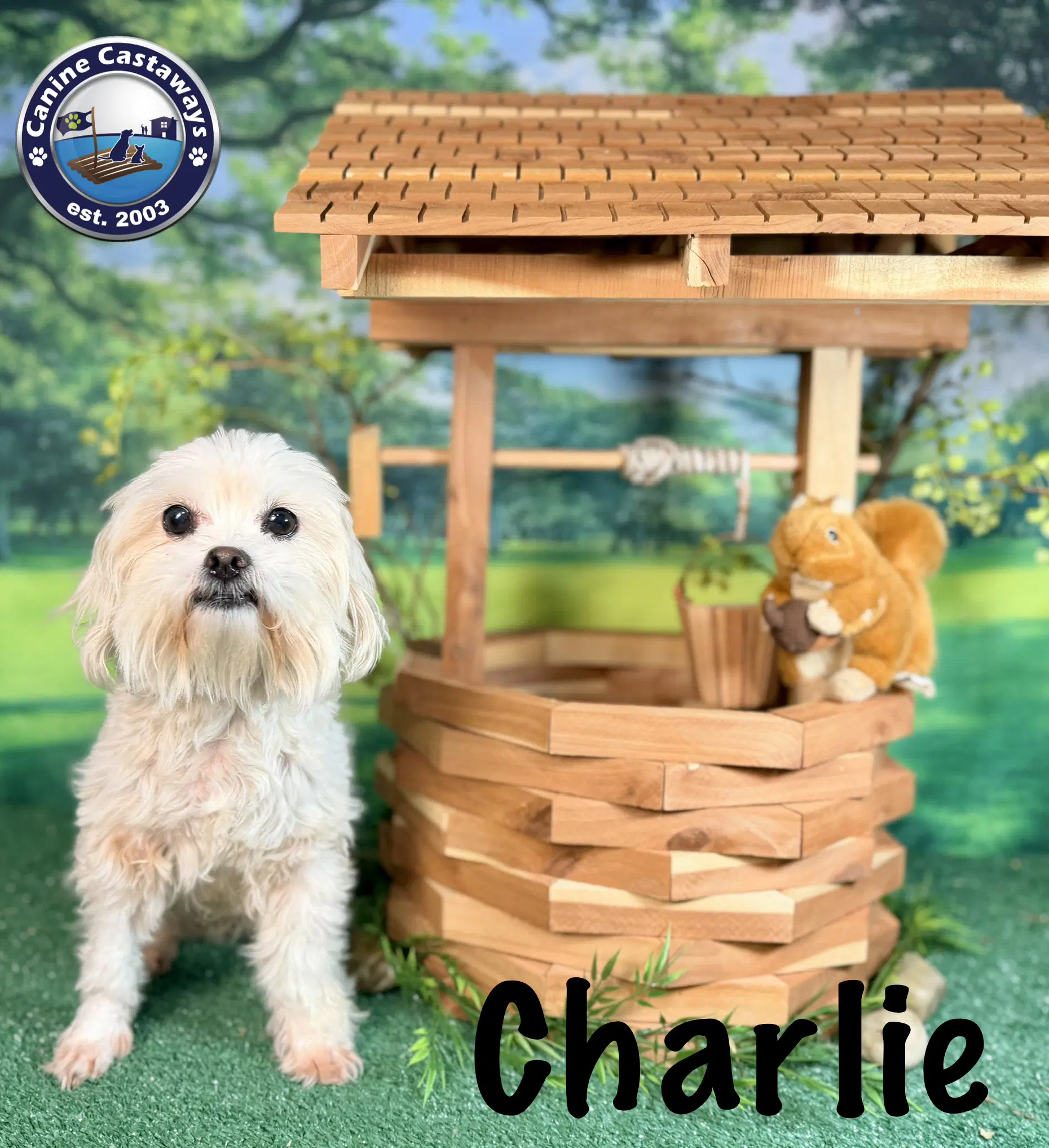 Charlie image 2