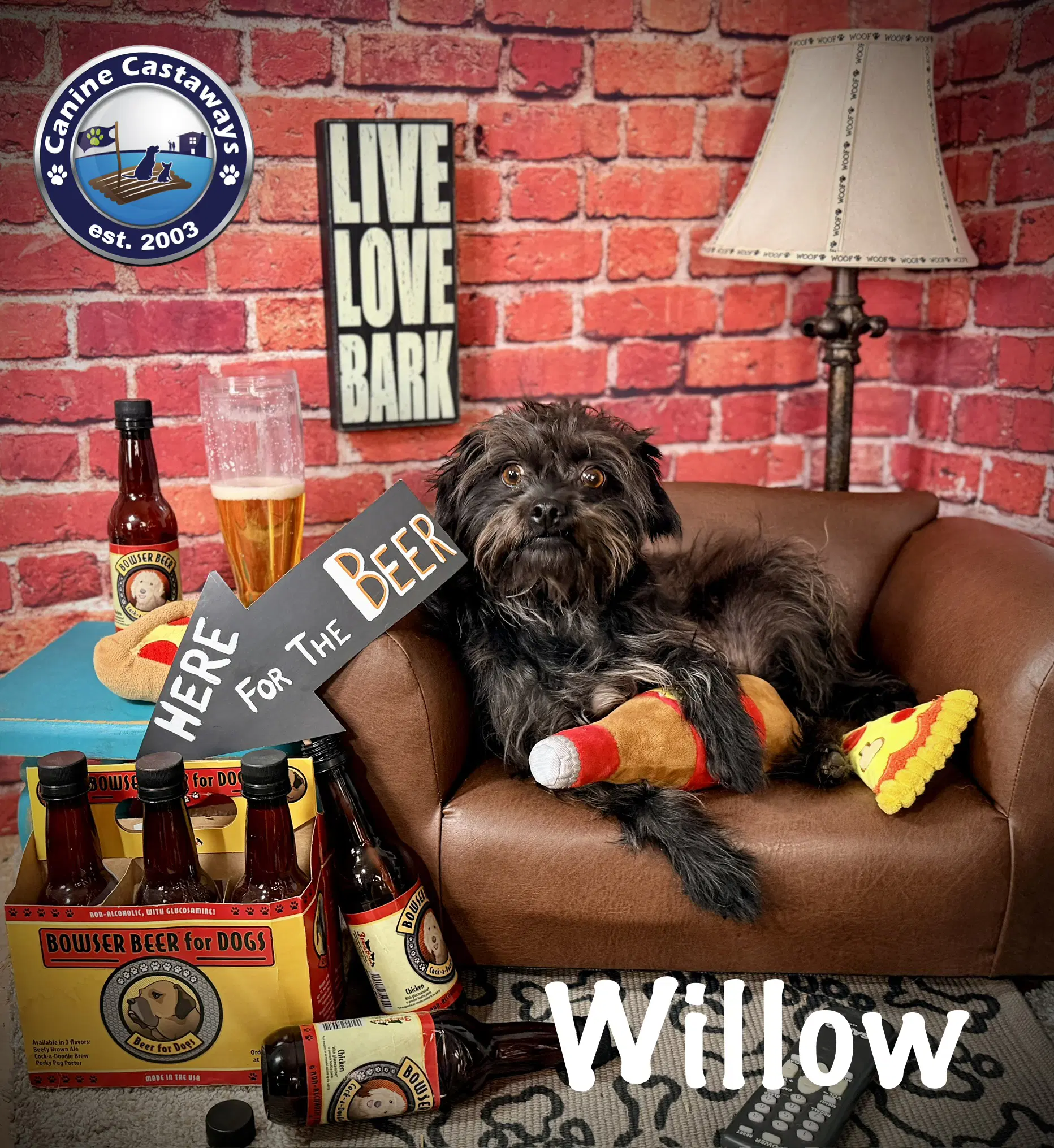 Willow image 2