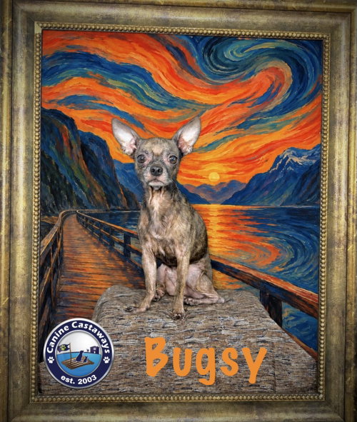 Photo 3 of Bugsy