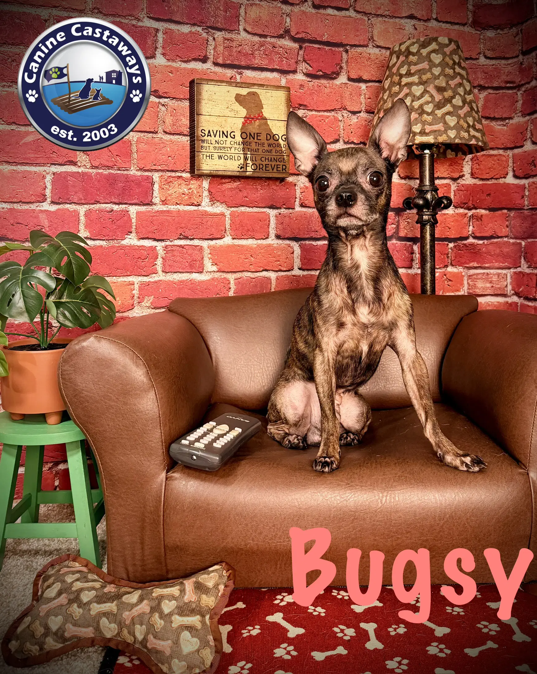 Bugsy image 4