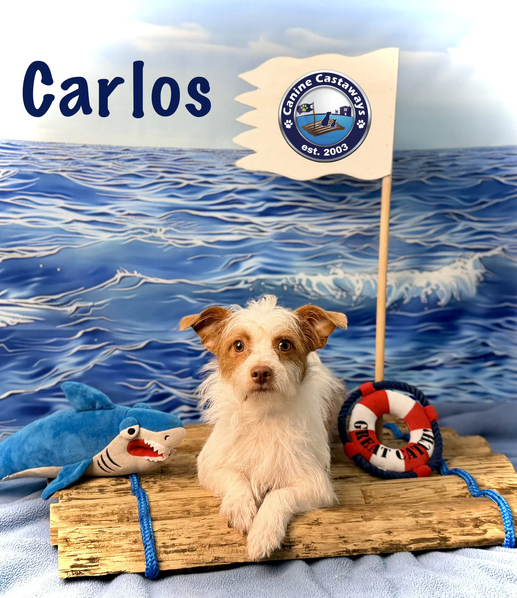 Carlos image 2