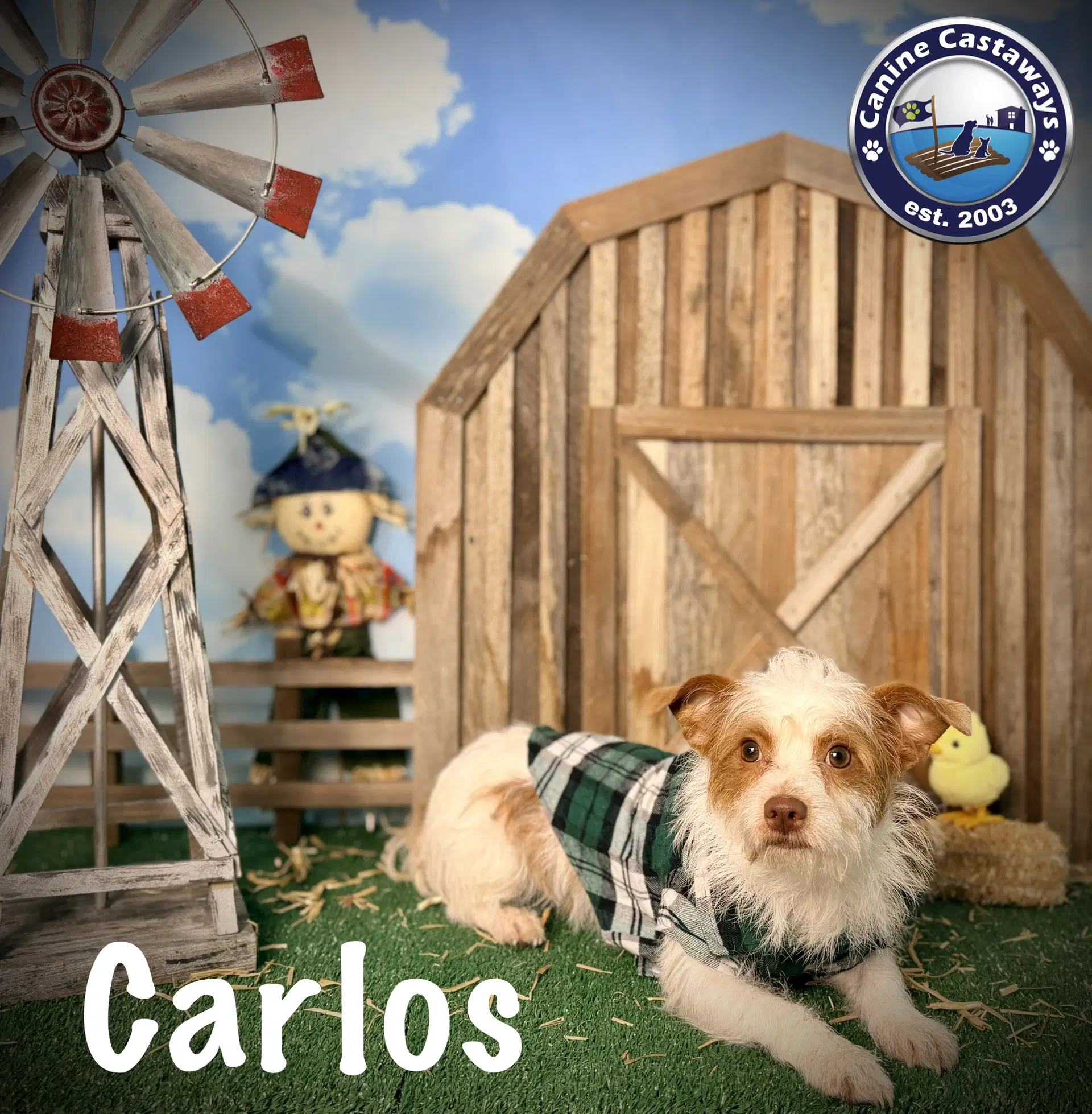 Carlos image 3